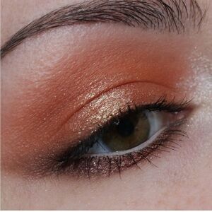 URBAN DECAY COSMETICS 24/7 Eyeshadow In Wild One (Burnt Orange Matte)